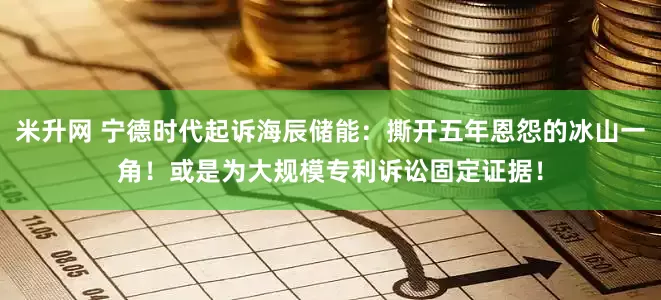 米升网 宁德时代起诉海辰储能：撕开五年恩怨的冰山一角！或是为大规模专利诉讼固定证据！
